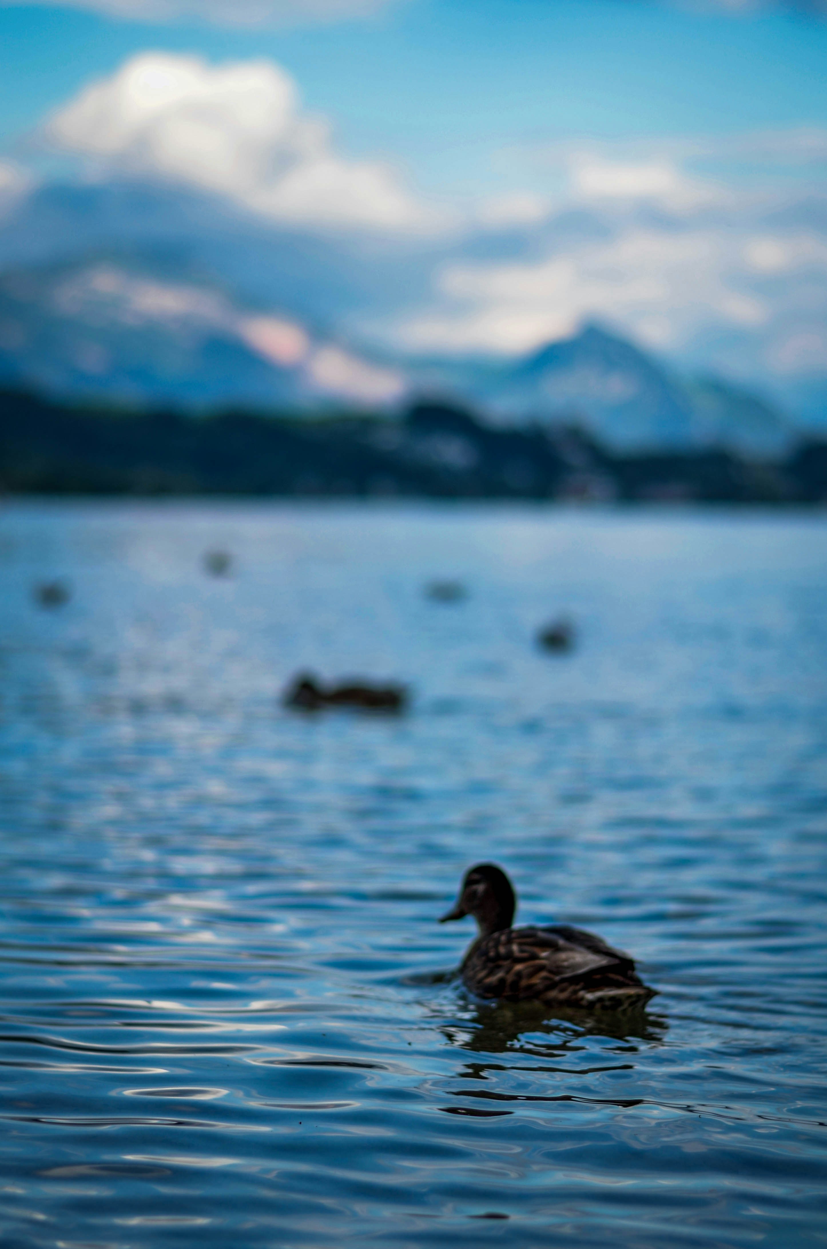 Photo by fekapk