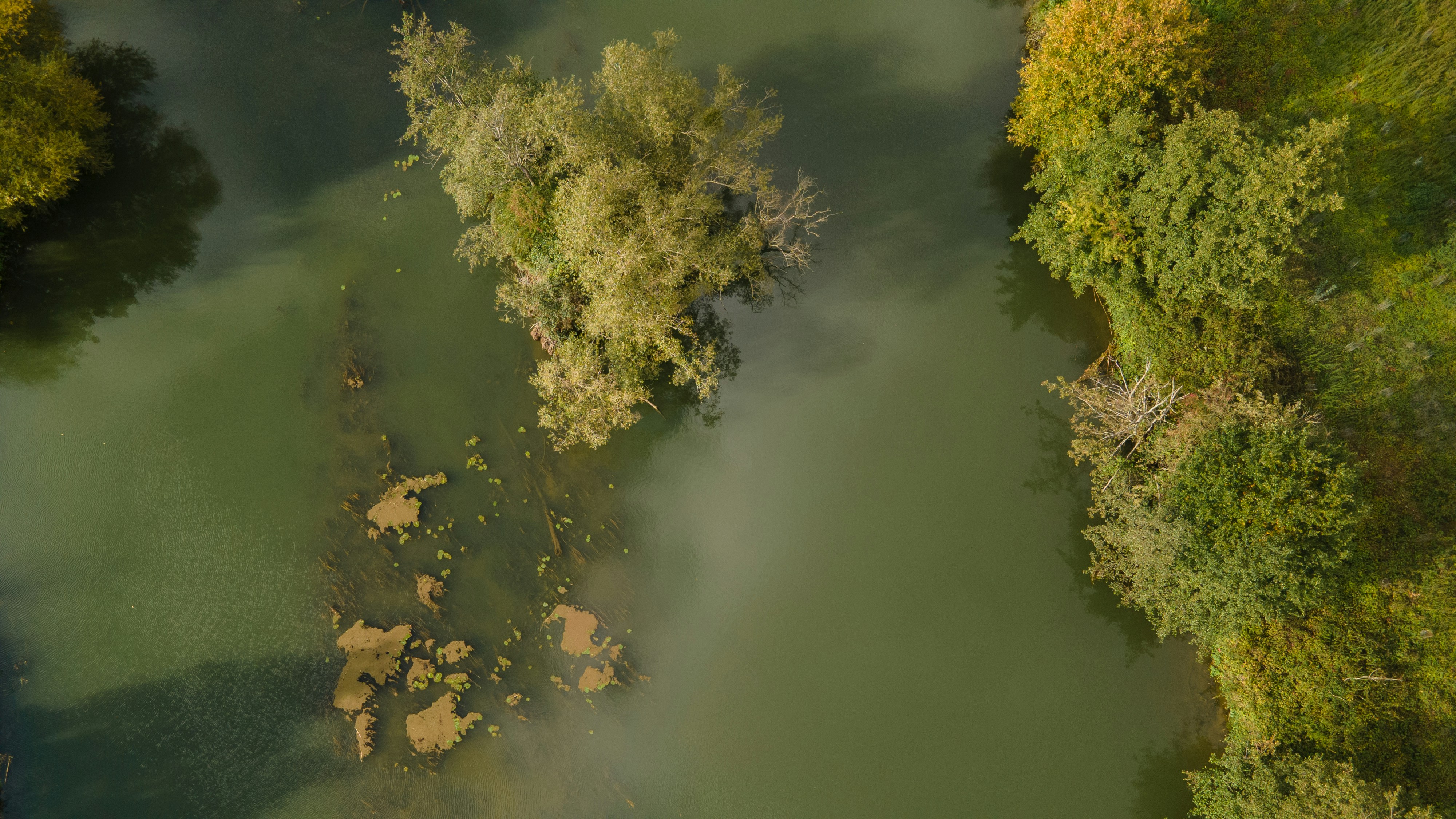 Photo by guillaumevdn