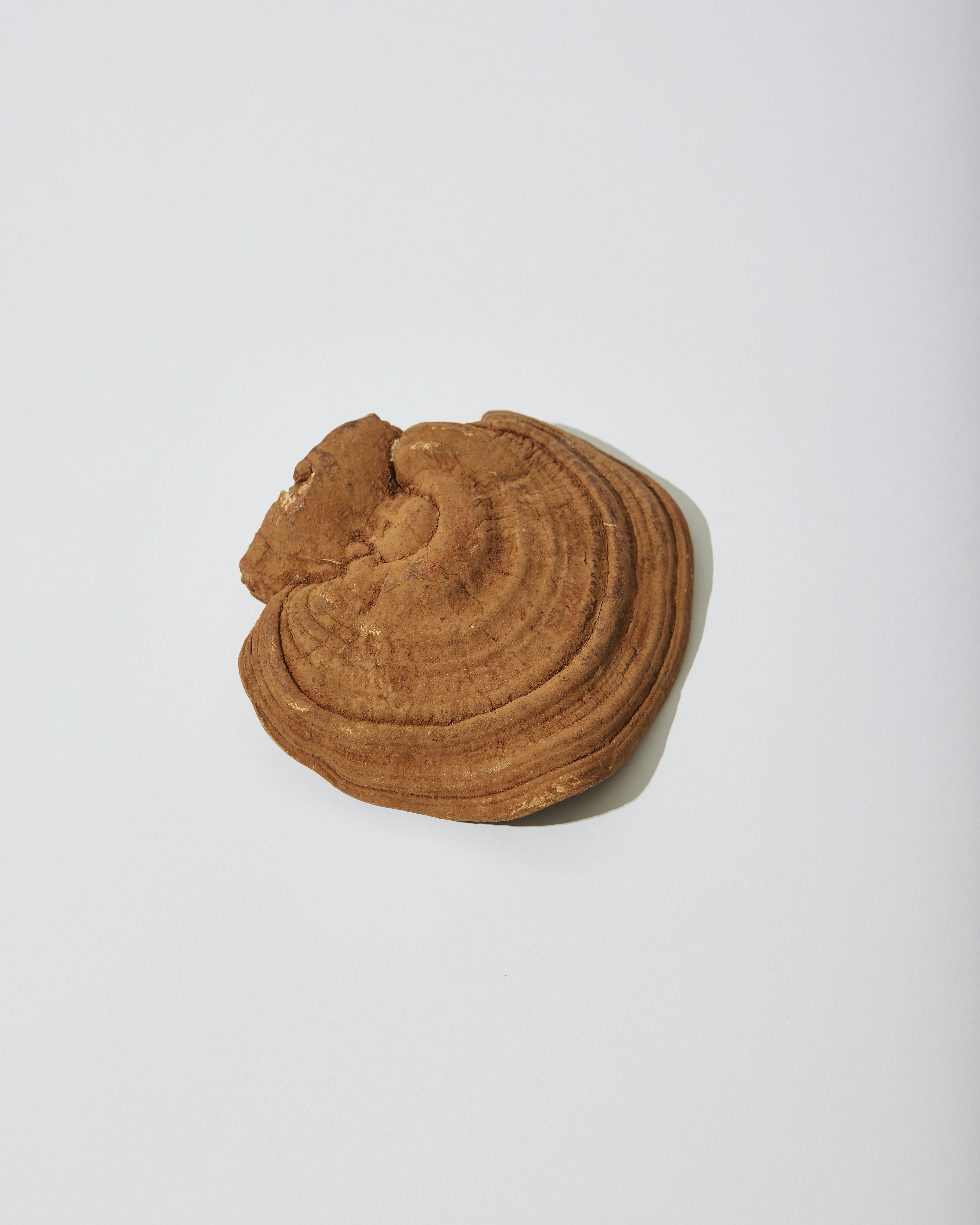 a cookie with peanut butter on top of it