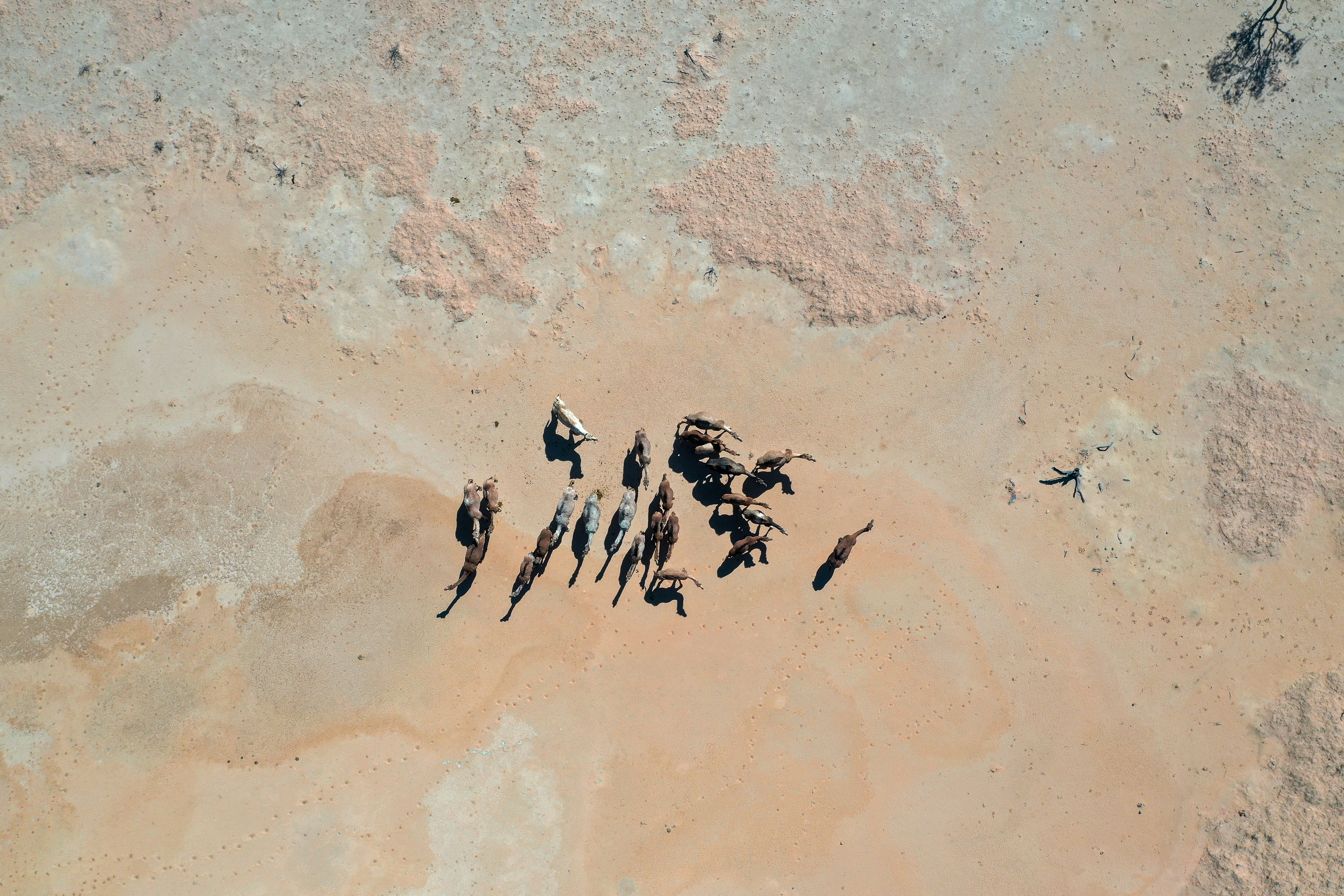 3 person walking on brown sand during daytime