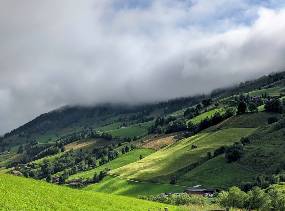 green grass field under cloudy sky during daytime