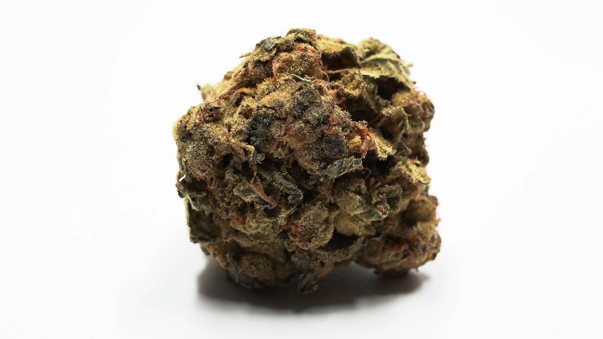 woman wearing yellow long-sleeved dress under white clouds and blue sky during daytime