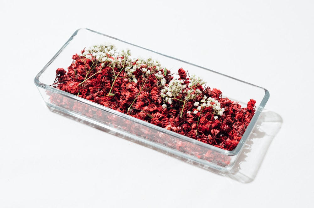 red round fruits in clear plastic container