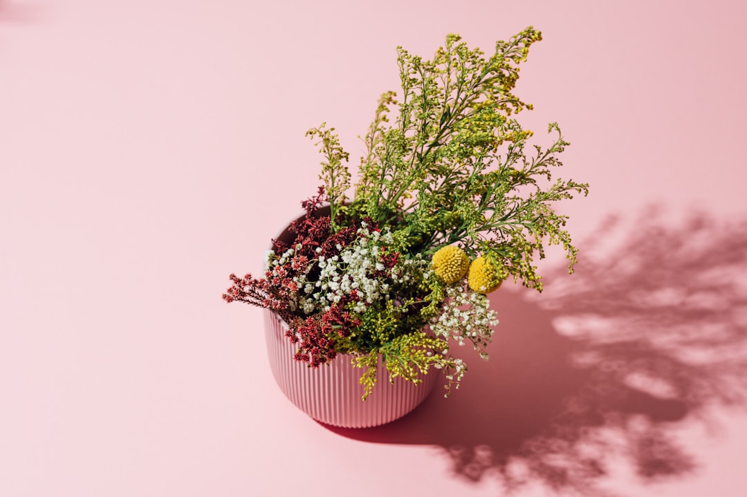 green plant on brown clay pot