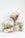 Multiple arrangements of dried flowers and plants are displayed in various vases and containers. The vases are transparent and ceramic, holding different varieties of greenery and colorful dried flowers, including reds, yellows, and whites. The setup is placed on a white table against a light-colored wall, giving it an elegant and natural look.
