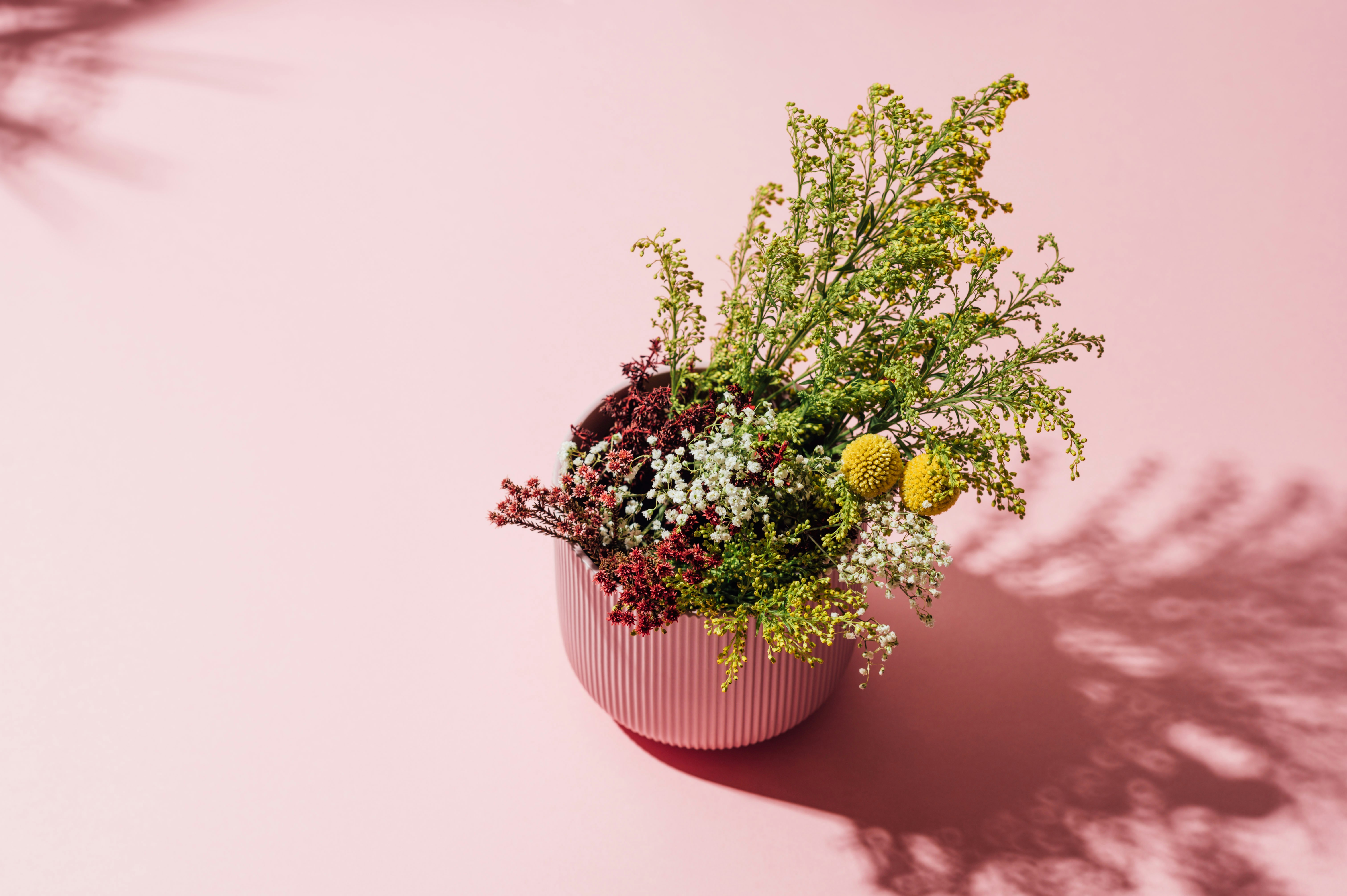 Photo by chuttersnap