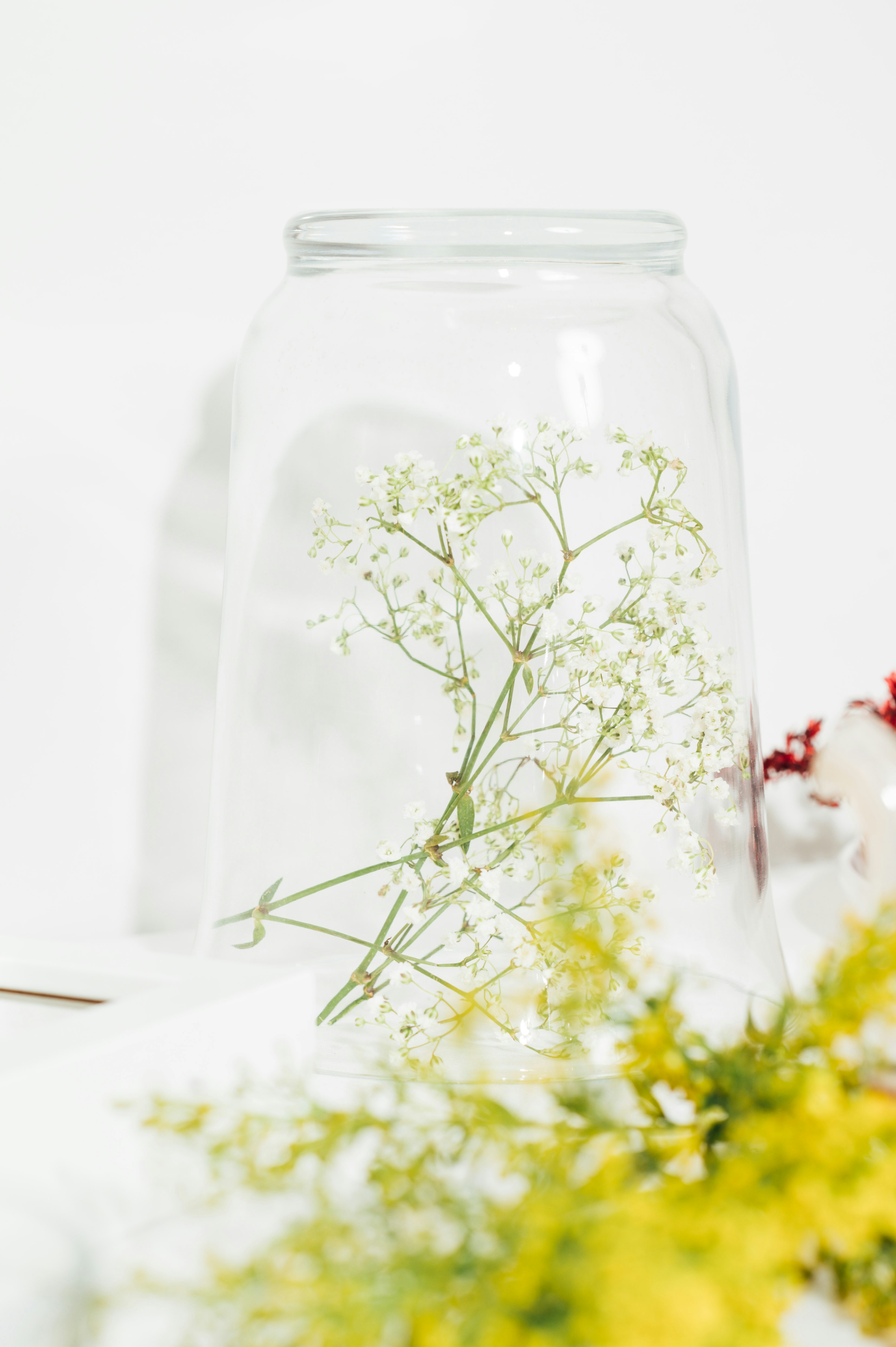 Photo by chuttersnap