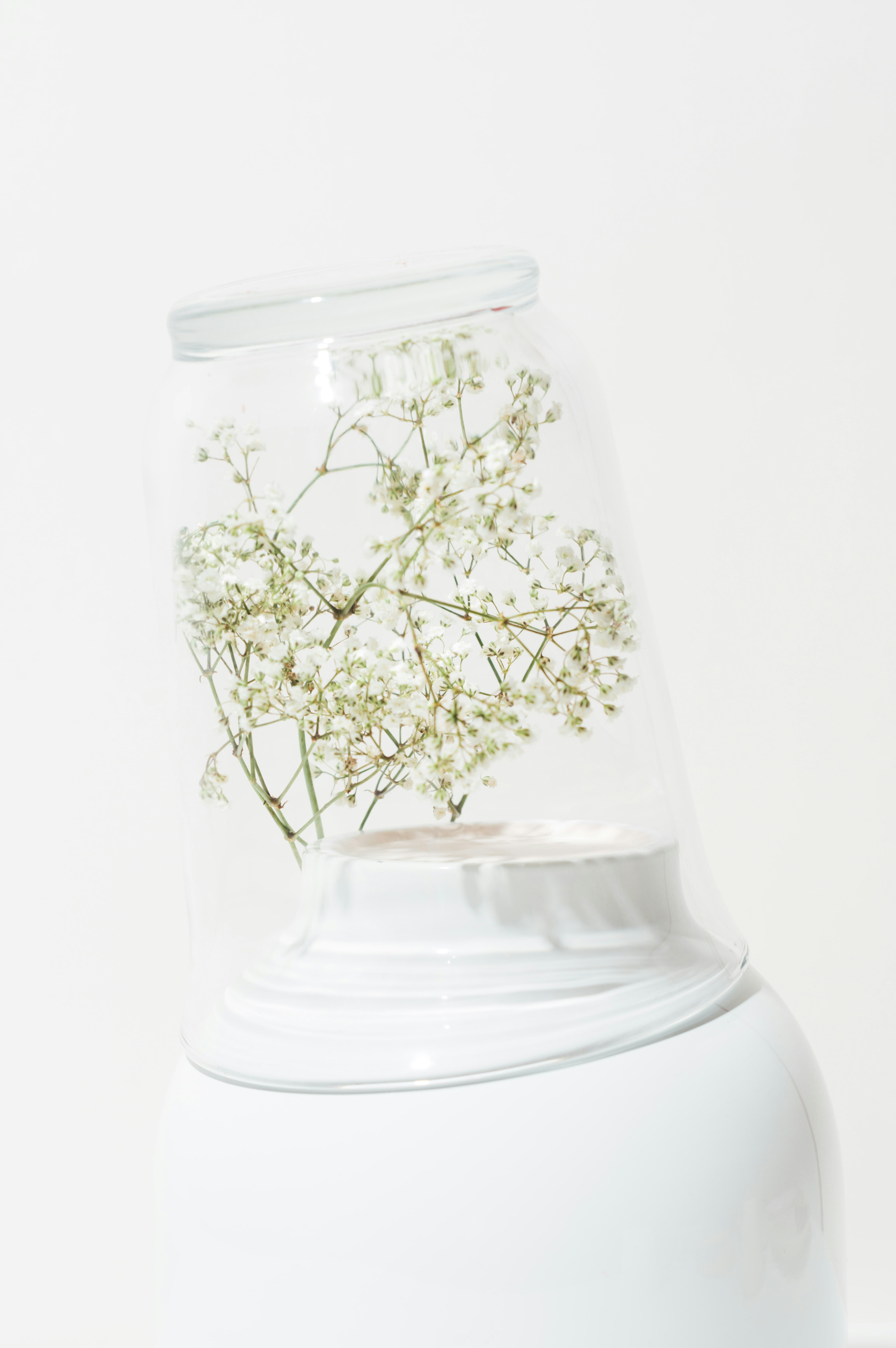 Photo by chuttersnap