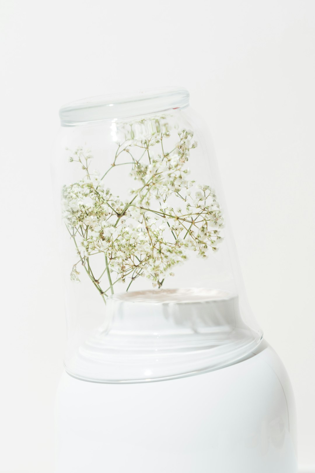 white flowers in clear glass jar