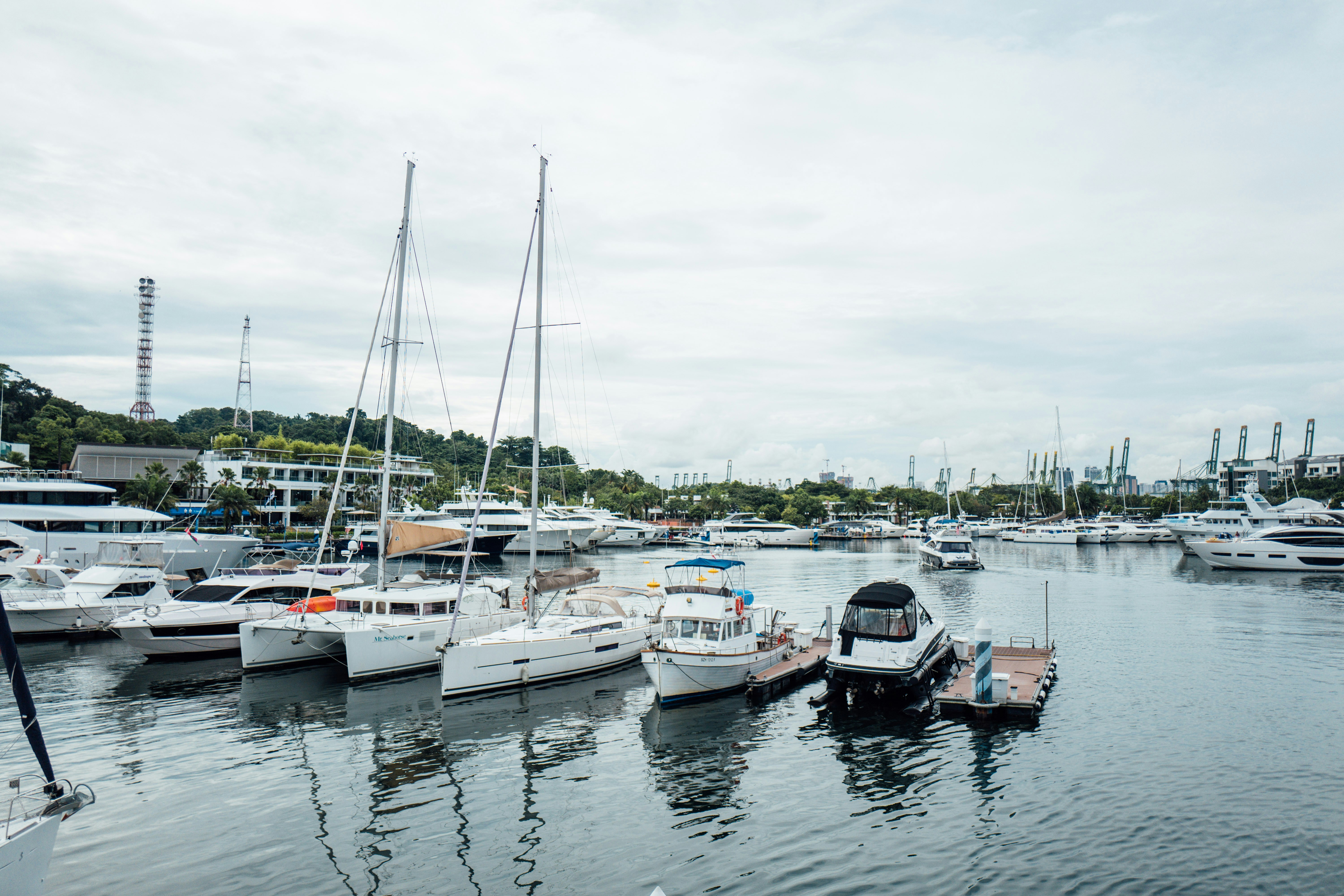 Photo by chuttersnap