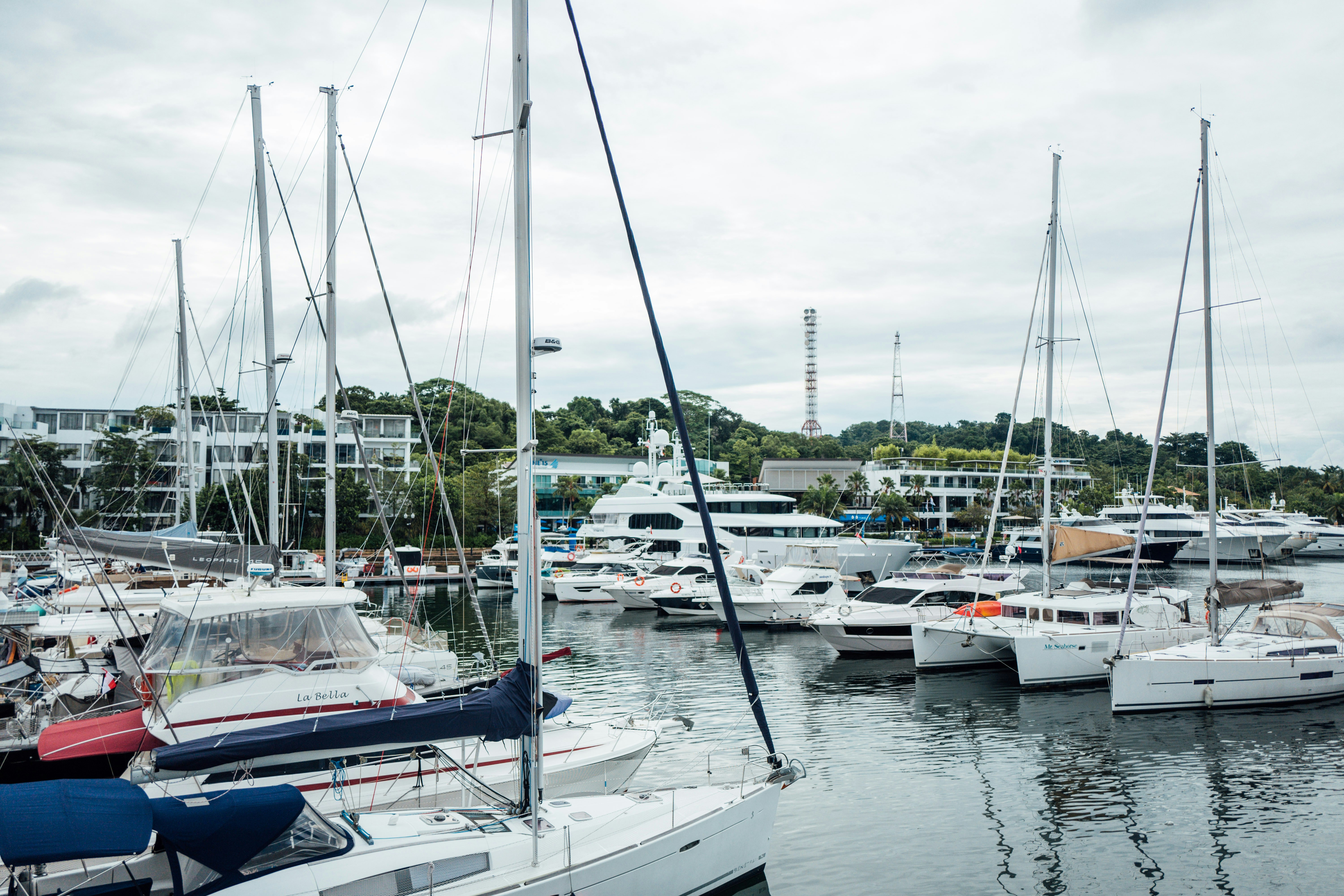 Photo by chuttersnap