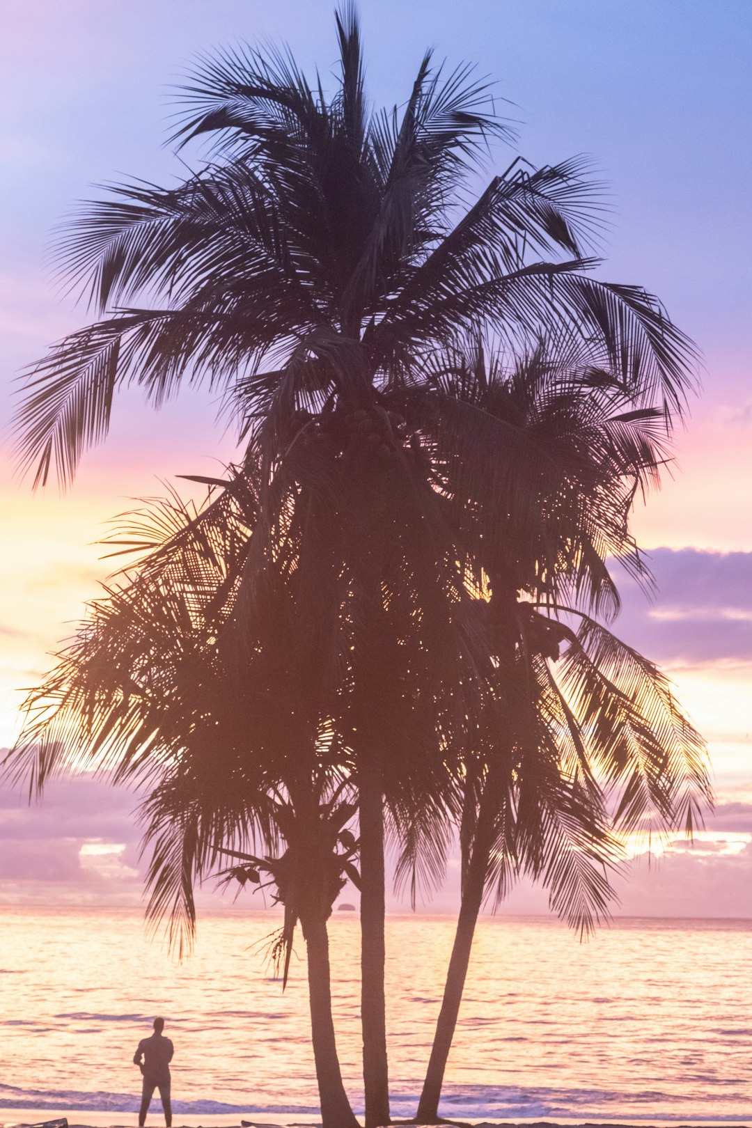 green palm tree near sea during daytime