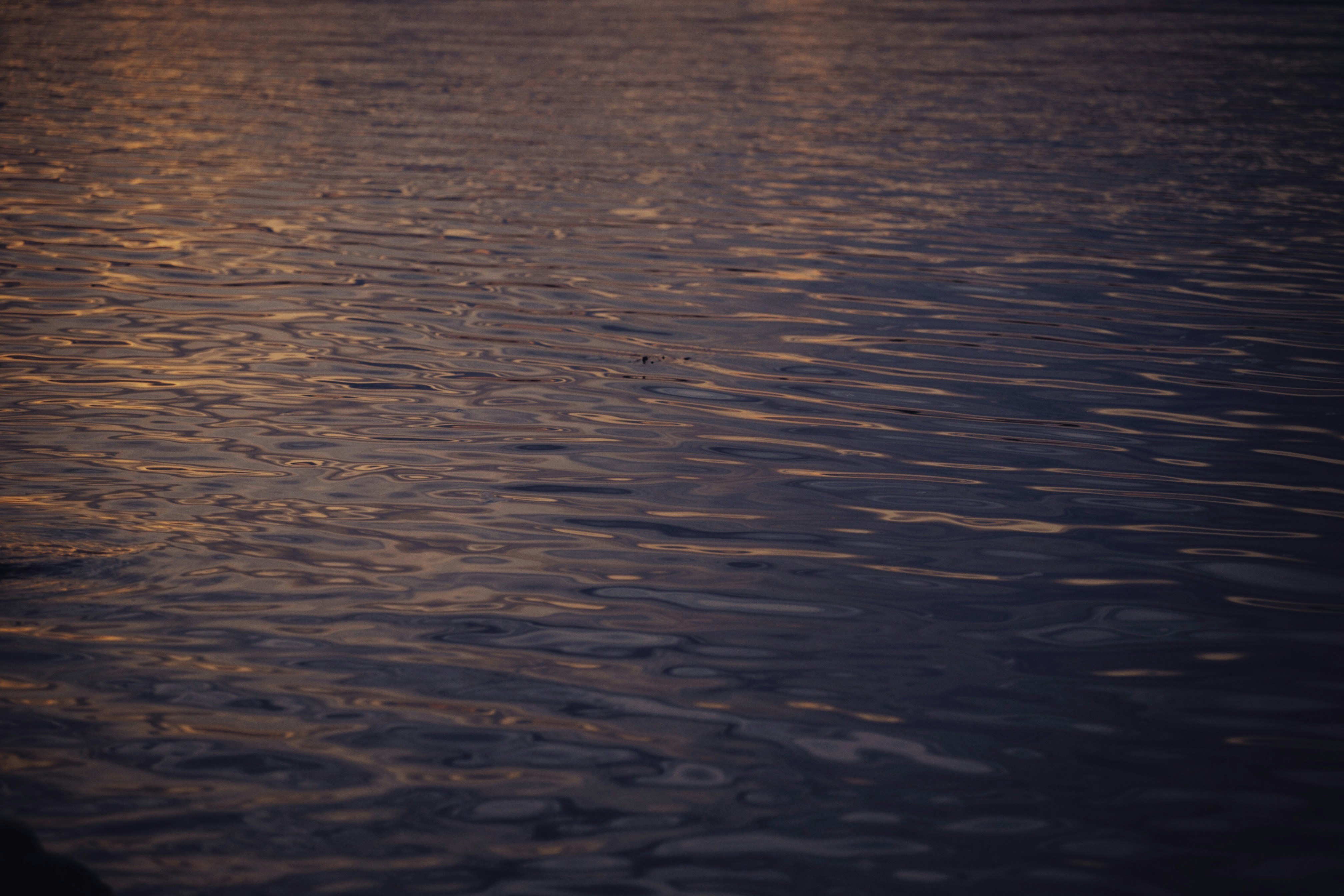 Photo by alexeydemidov