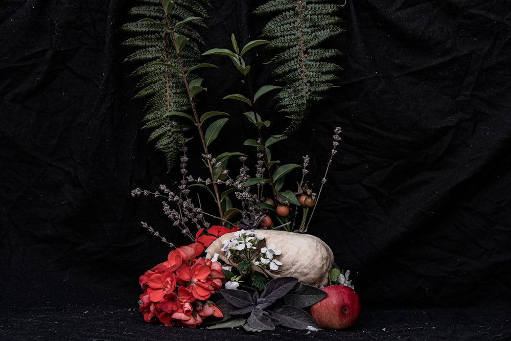 red roses and green leaves