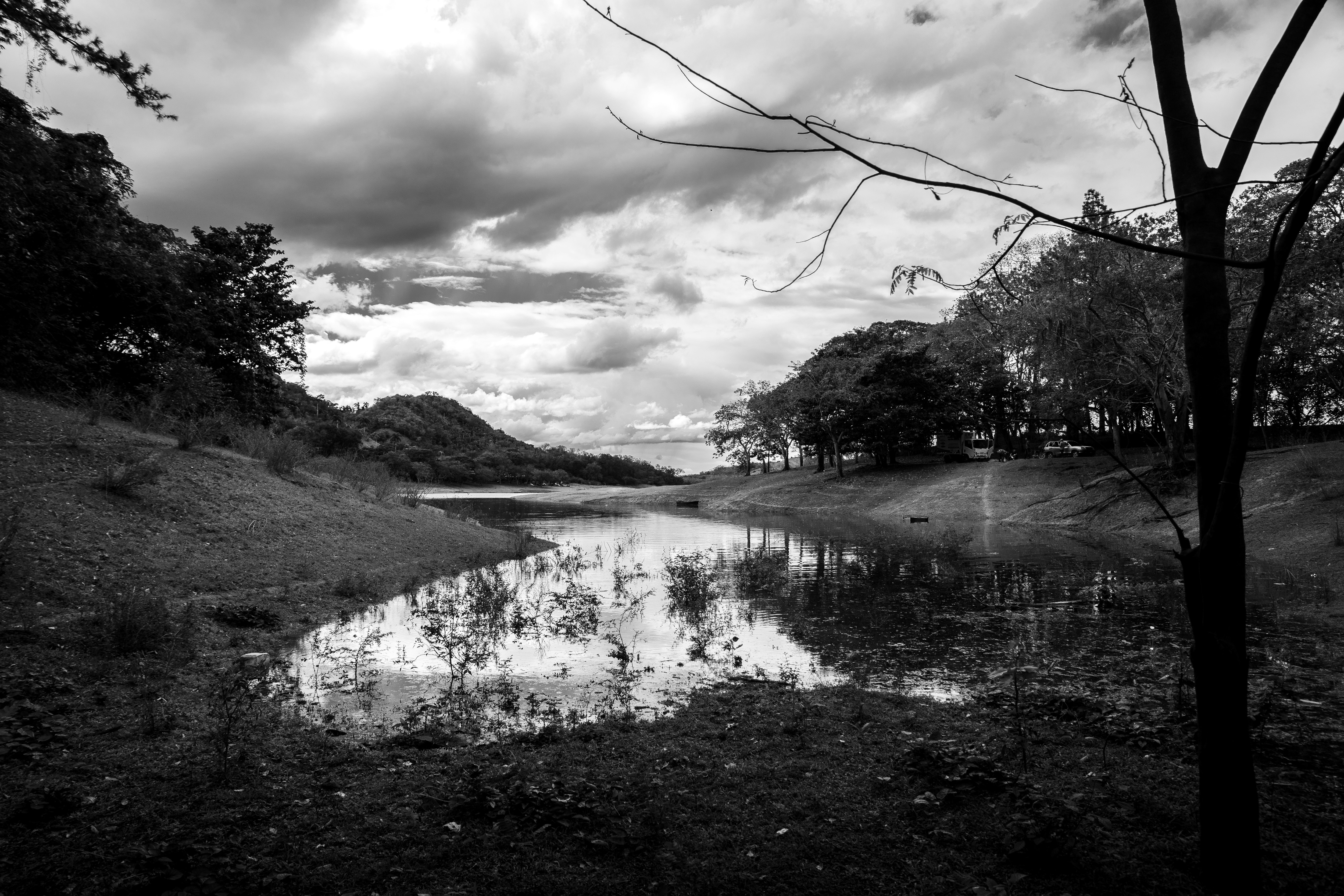 grayscale photo of river between trees