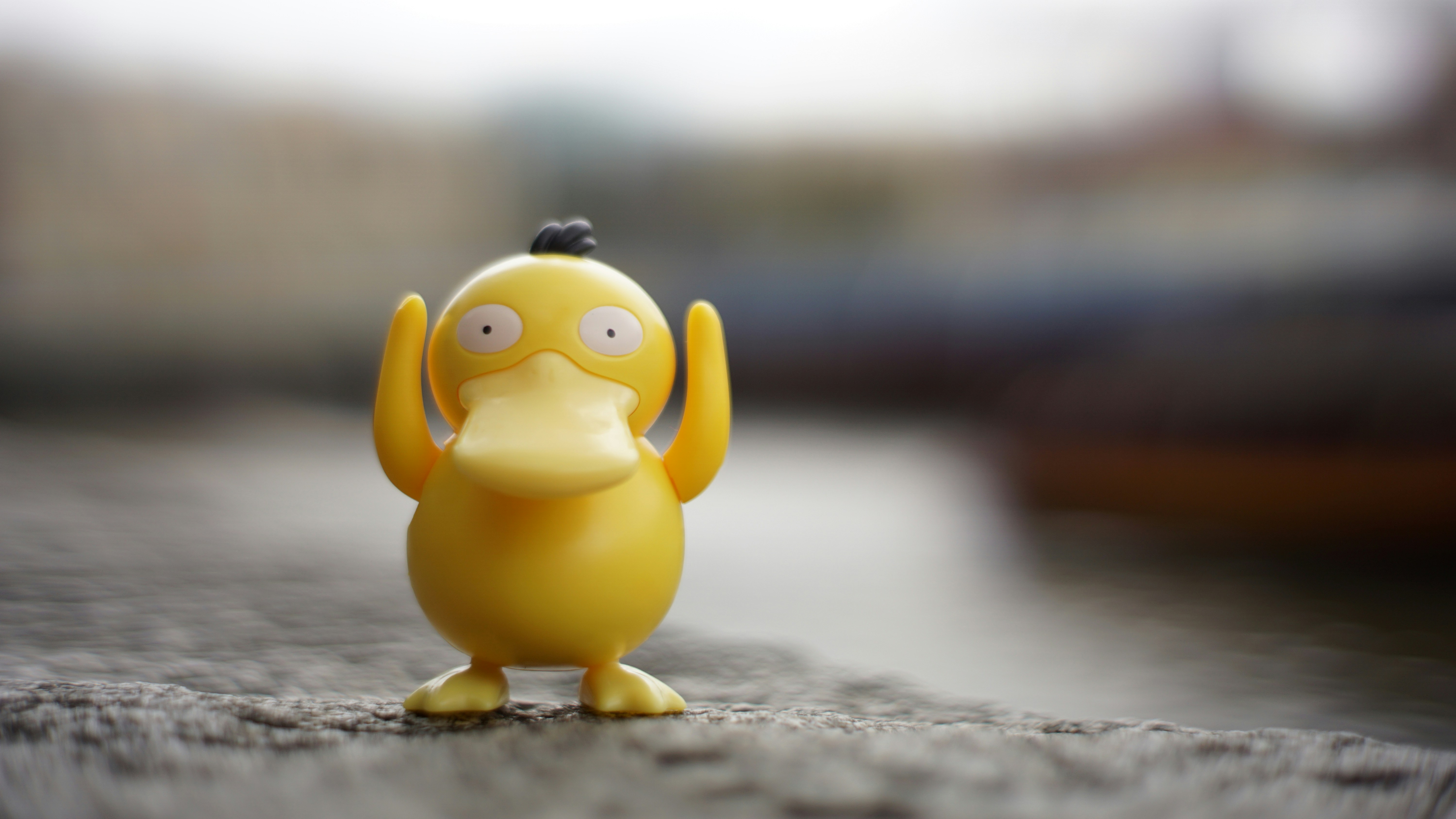 Photo by pixelcarrot