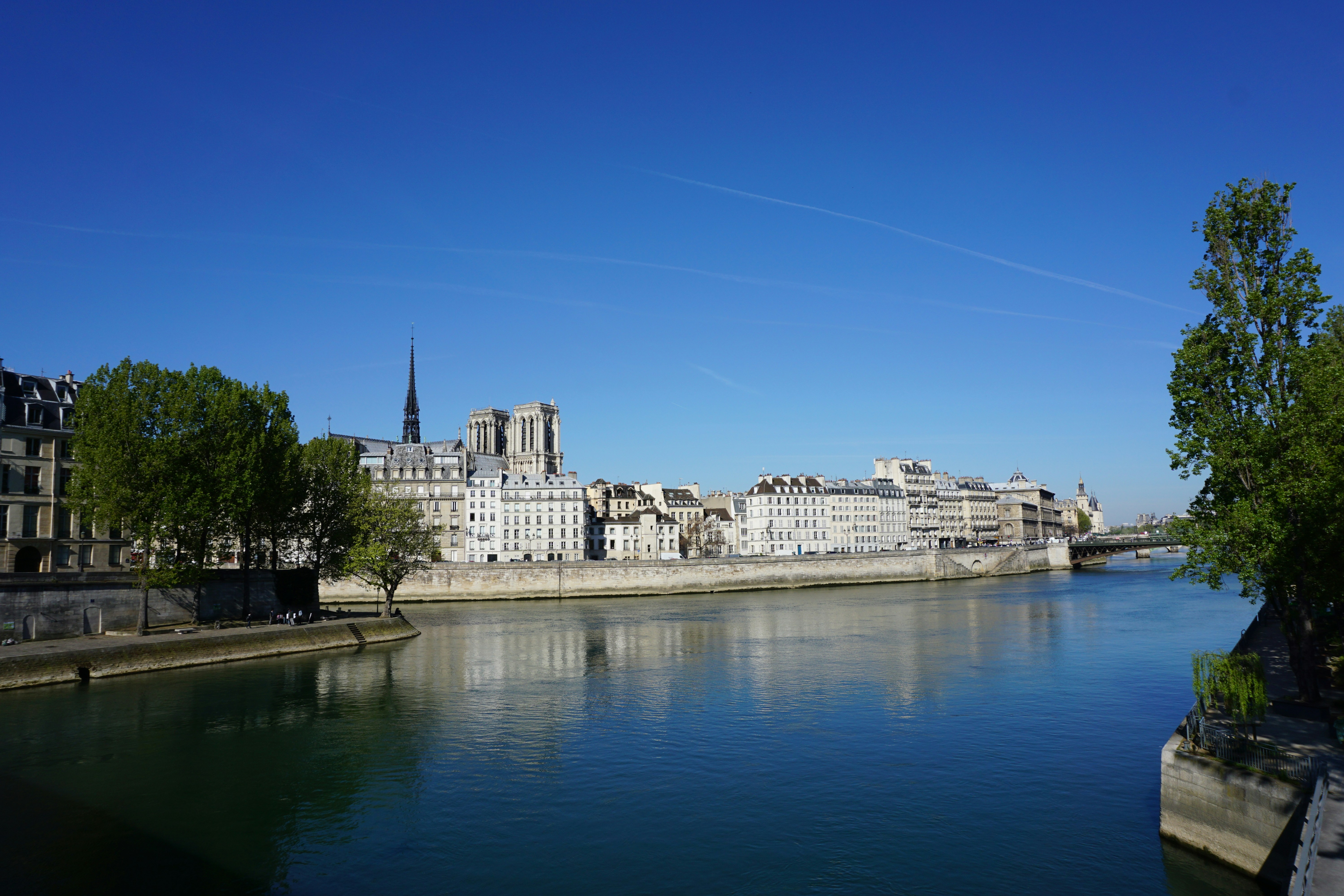 Photo by pixelcarrot