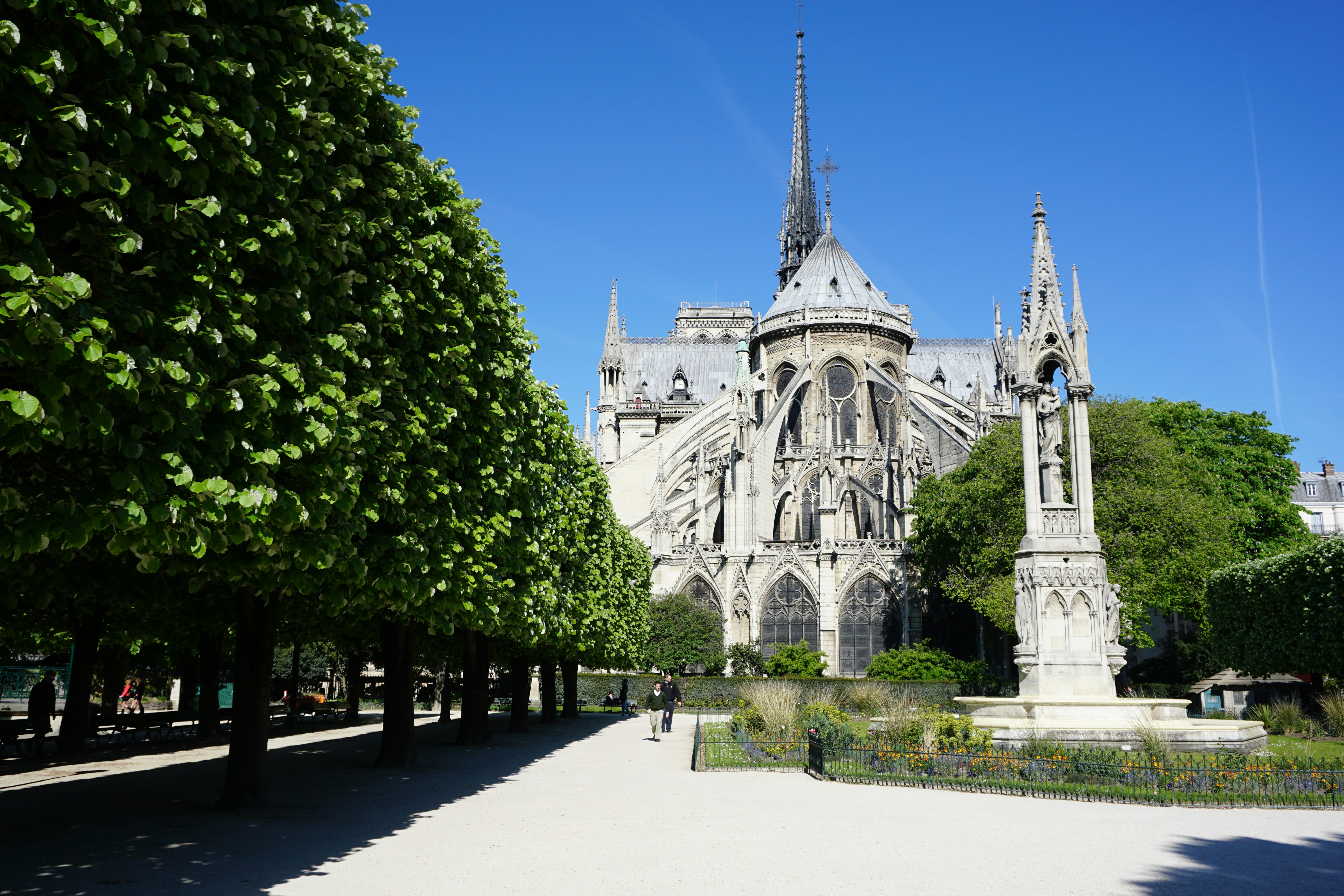 Photo by pixelcarrot