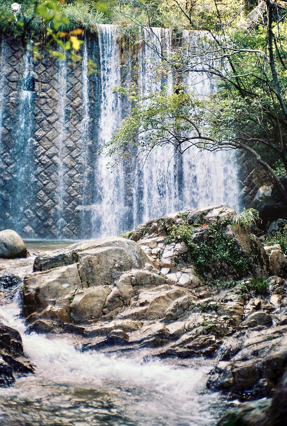 waterfalls in the middle of the forest