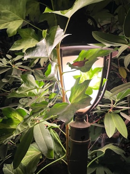 Wireless lamp illuminating a garden patio at dusk, surrounded by plants and comfortable seating.