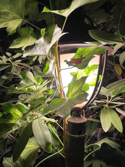 A warm glowing LED yard light nestled among blooming garden flowers at dusk.