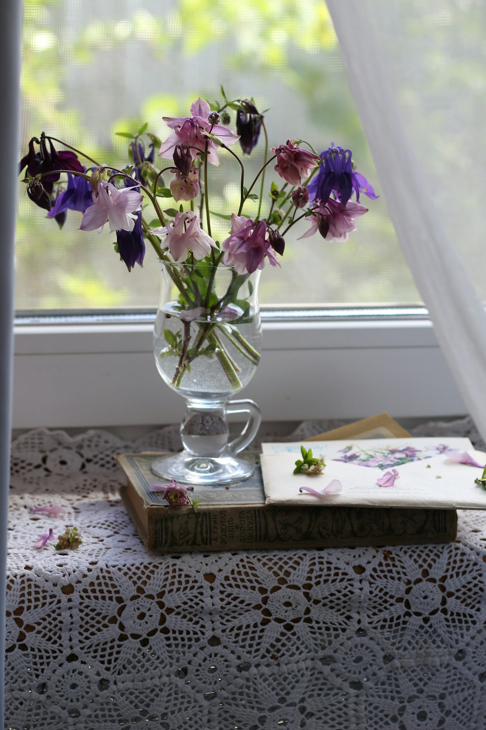 purple flowers in clear glass vase