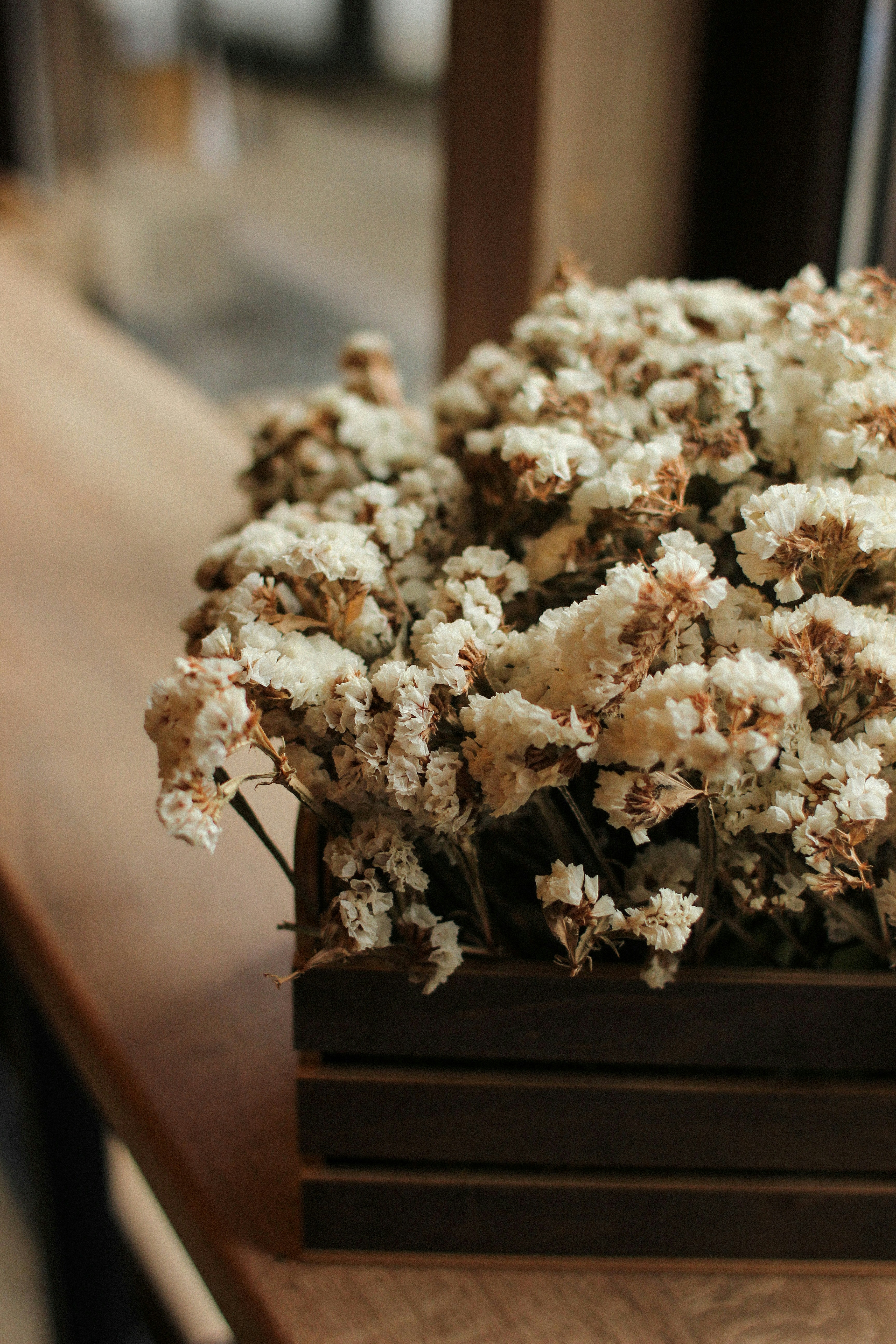 Photo by lena_myzovets