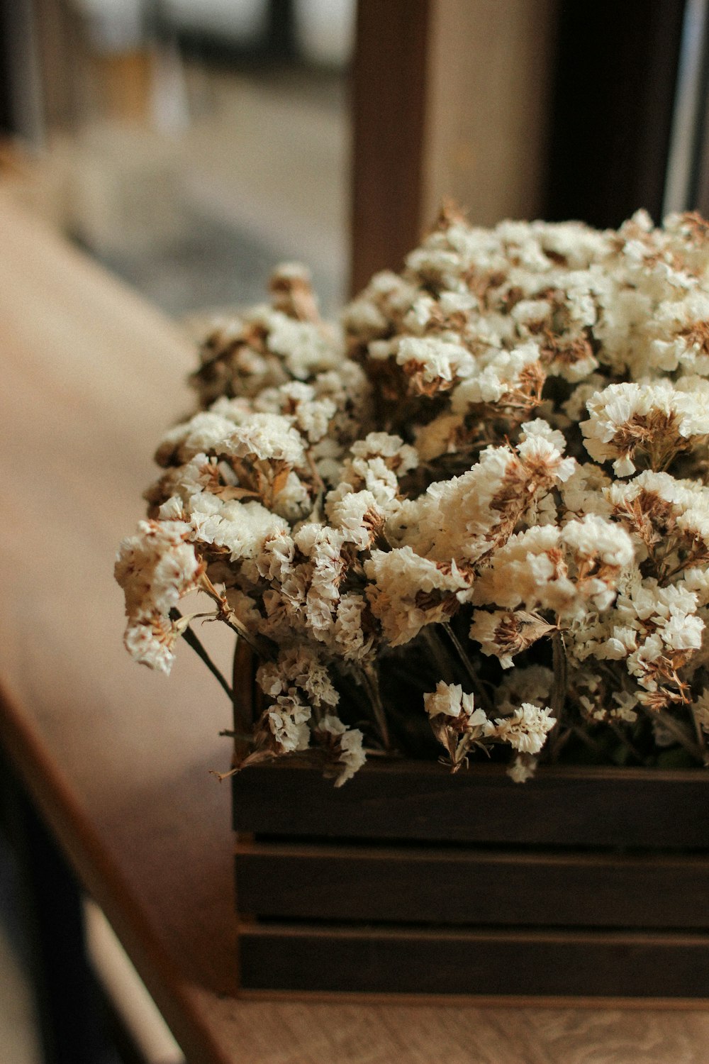 white flowers on brown wooden table