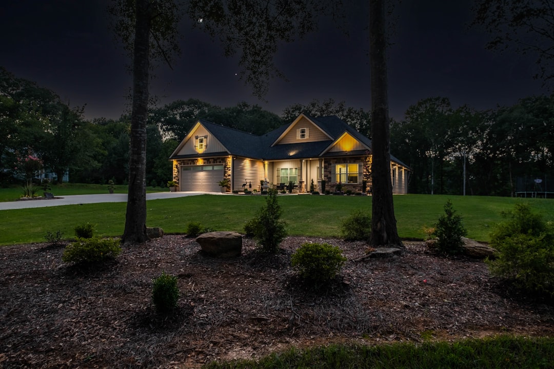 brown wooden house surrounded by trees during nighttime