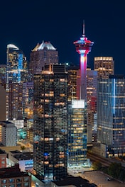 high rise buildings during night time