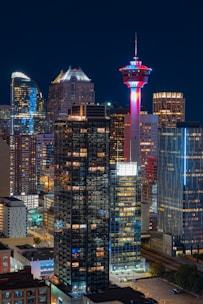 high rise buildings during night time