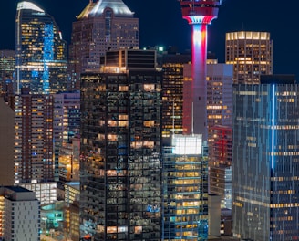 high rise buildings during night time