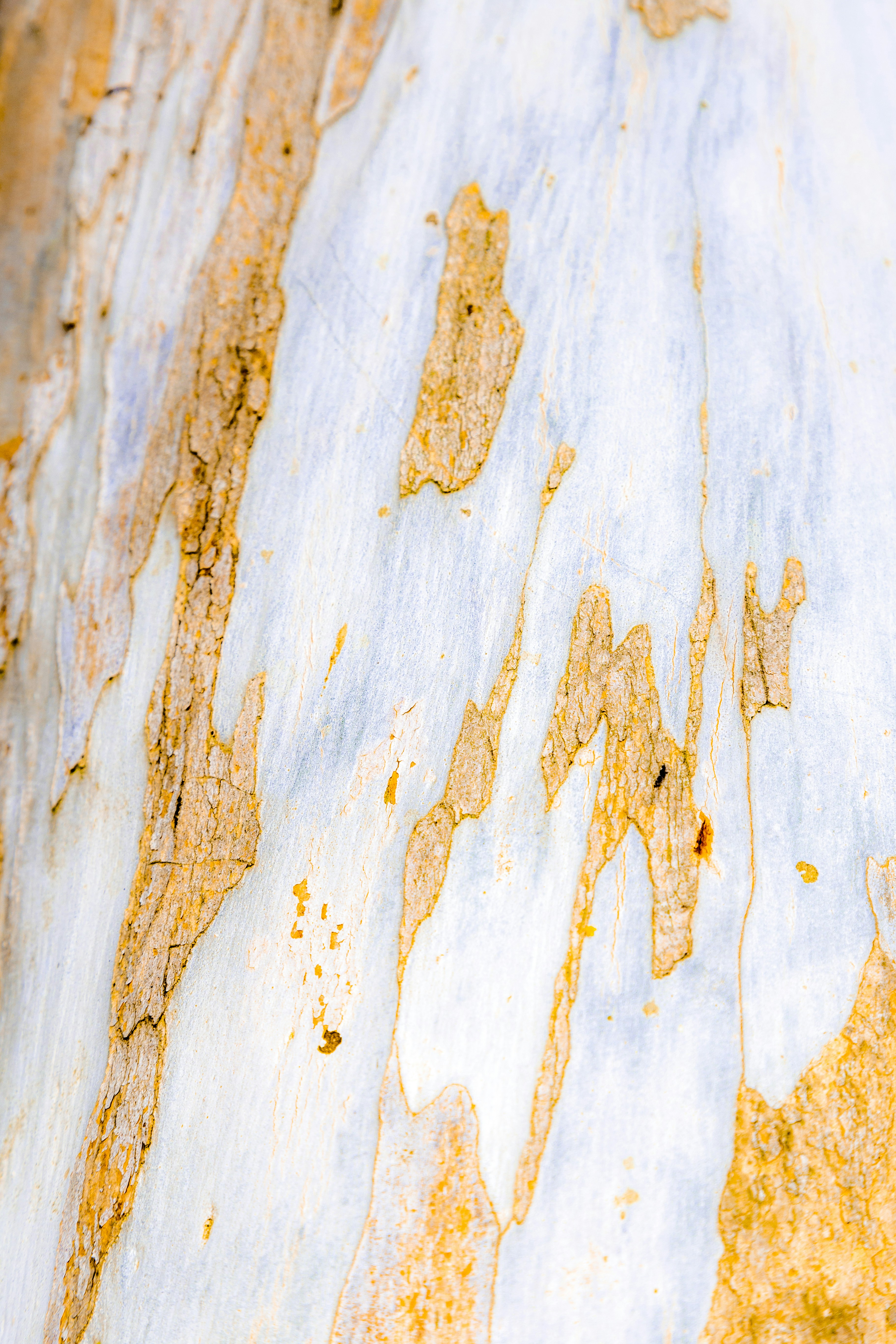 Photo by chetrakhieu