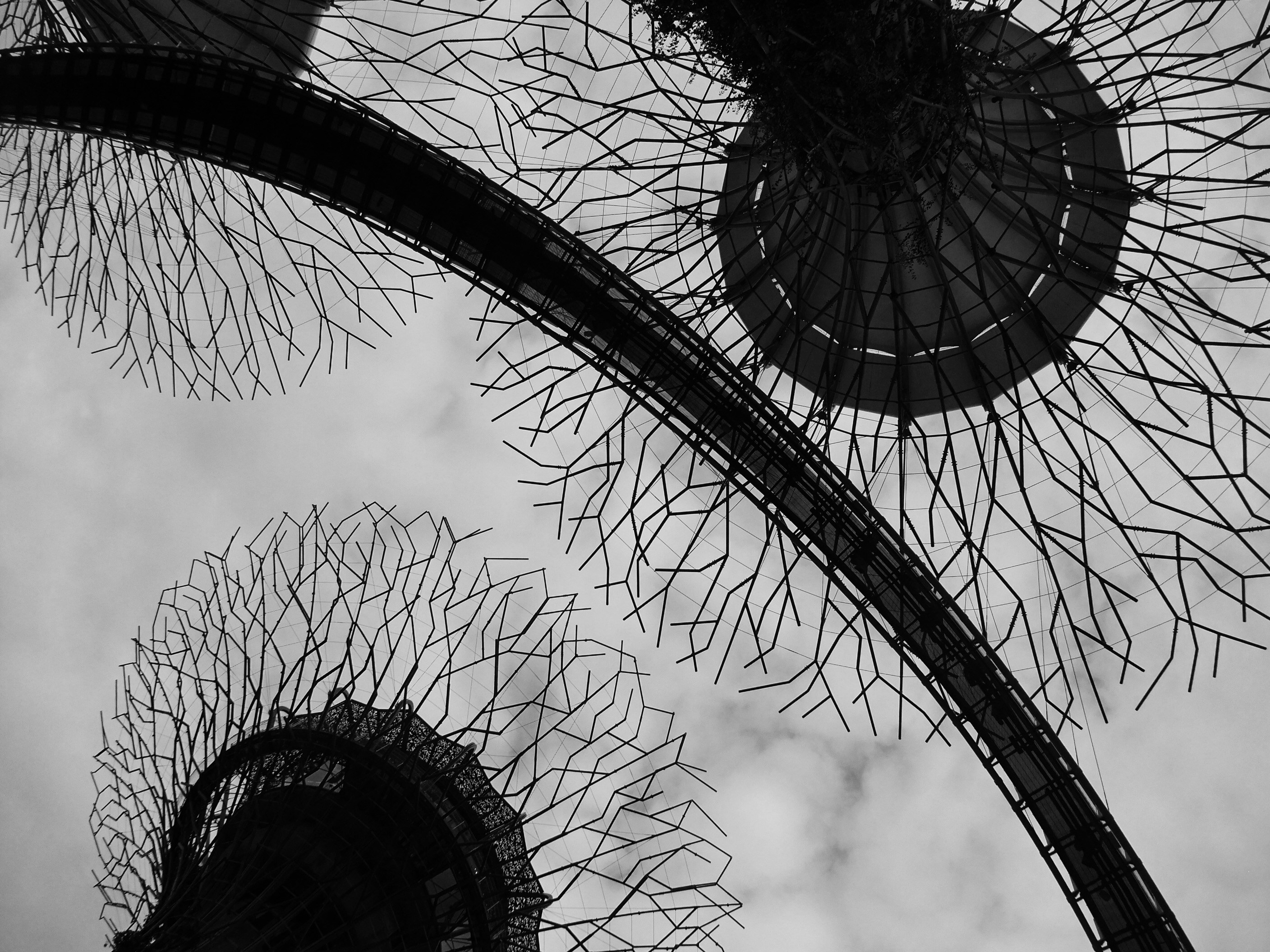 Photo by traumhaendler