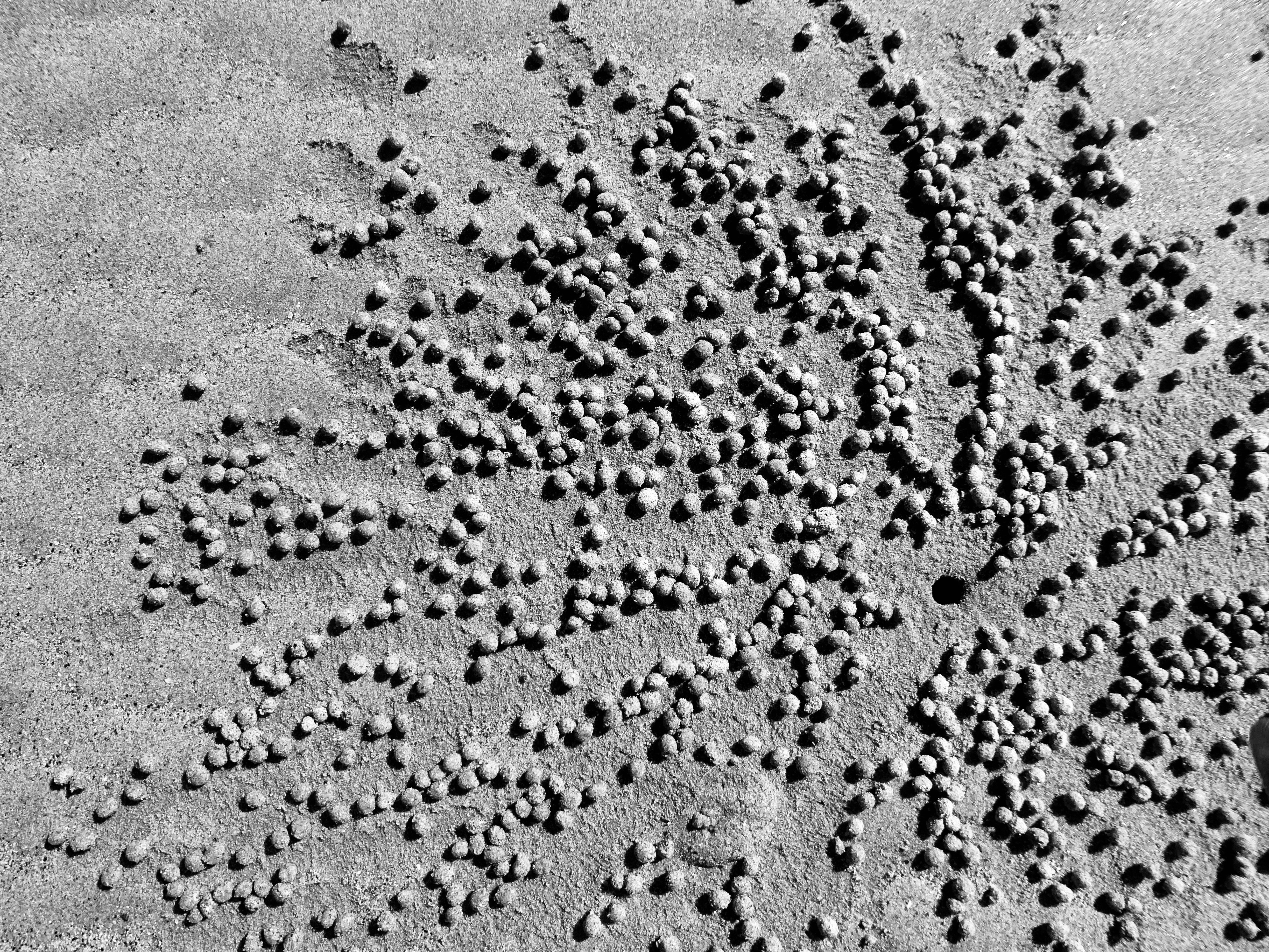 Photo by traumhaendler