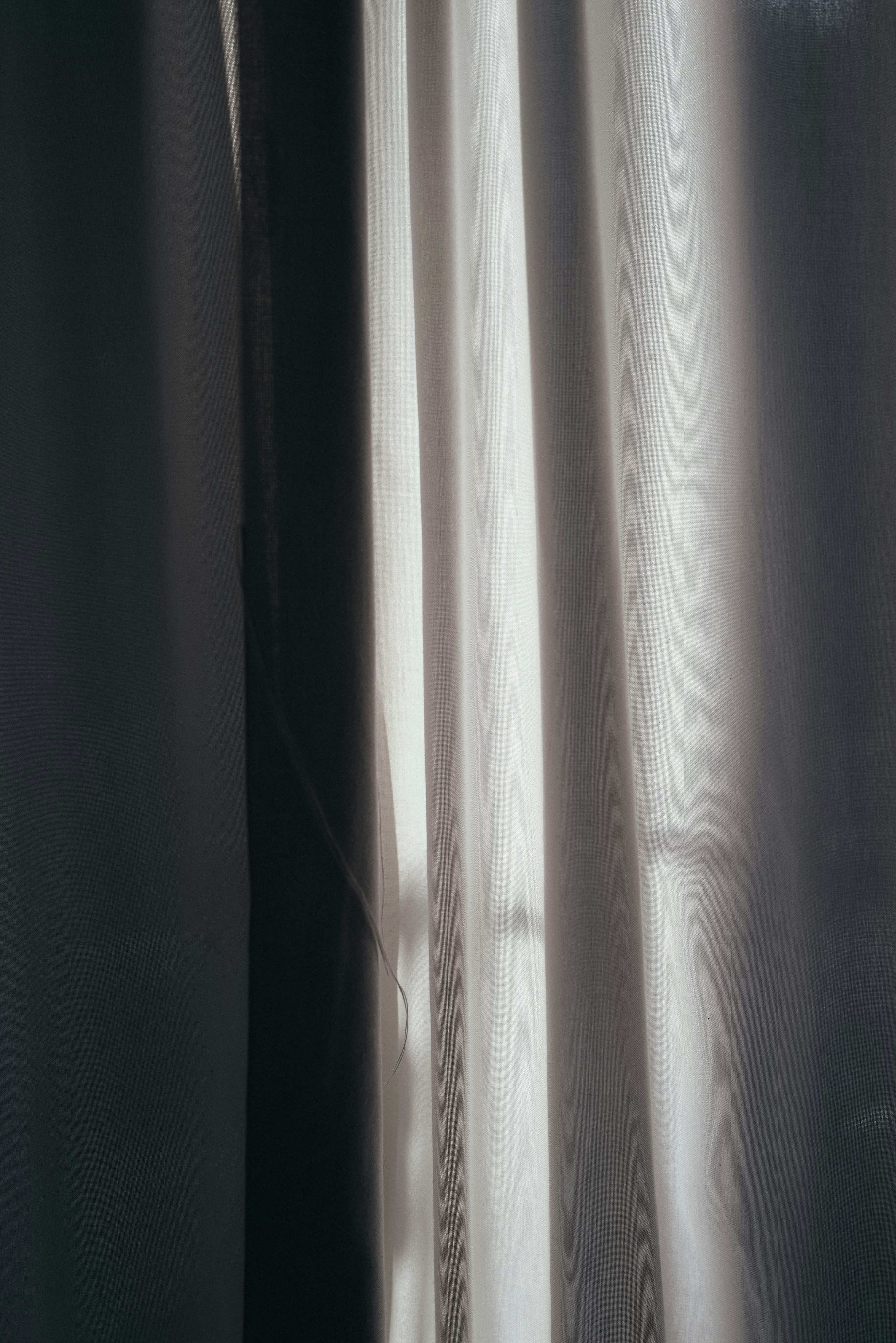 Photo by thommilkovic