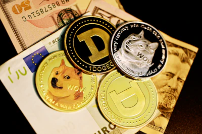 Bitcoin's Bear Market: Relief Rally Faces Rough Waters