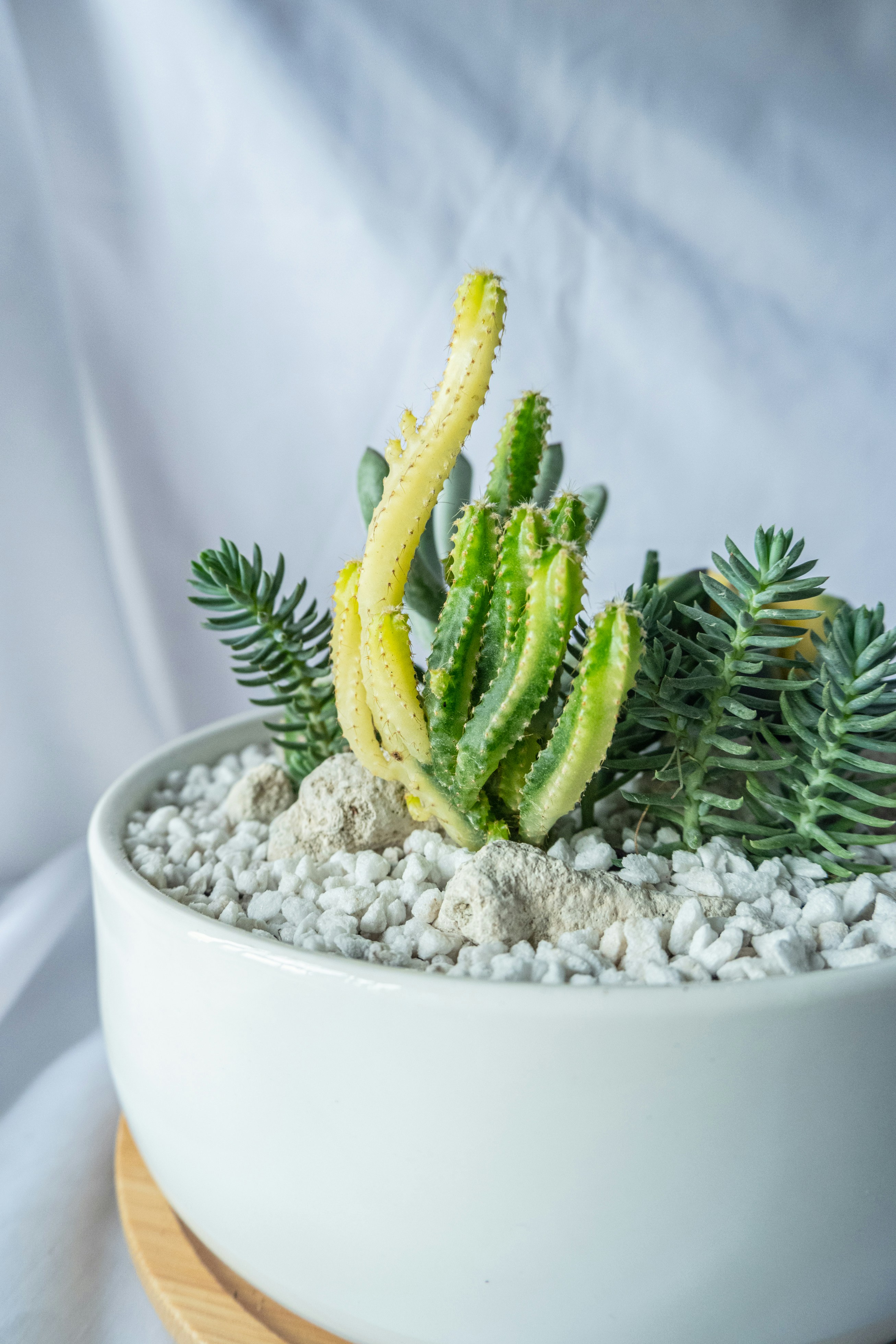 Photo by gervynlouis