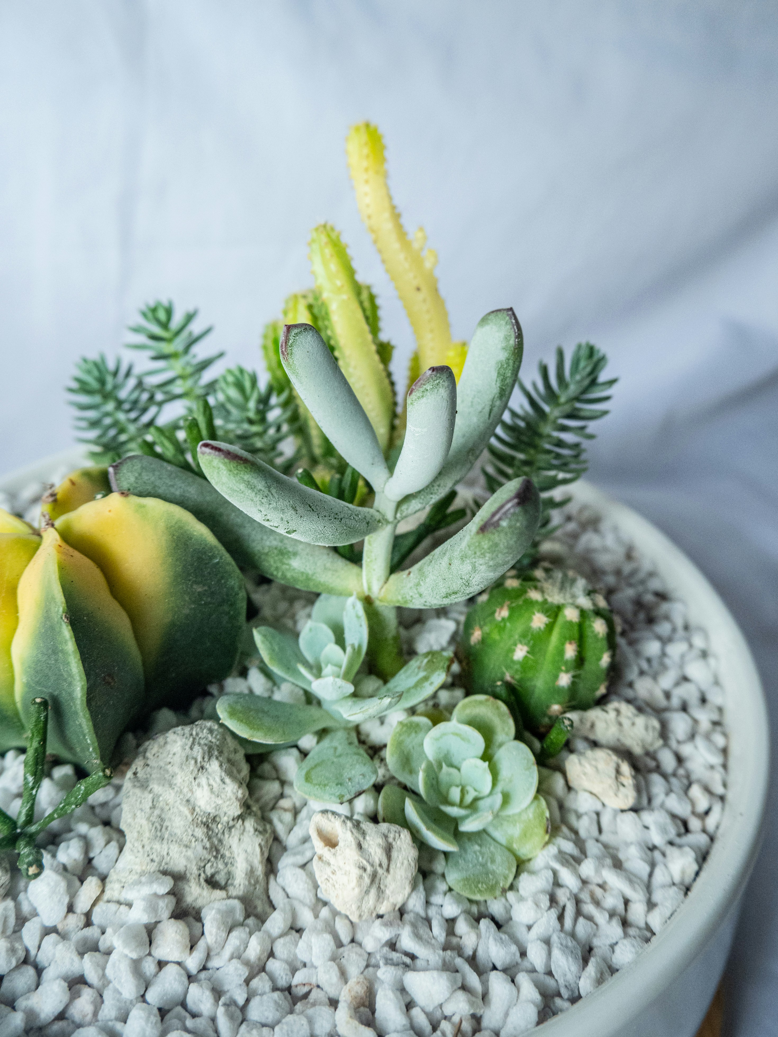 Photo by gervynlouis