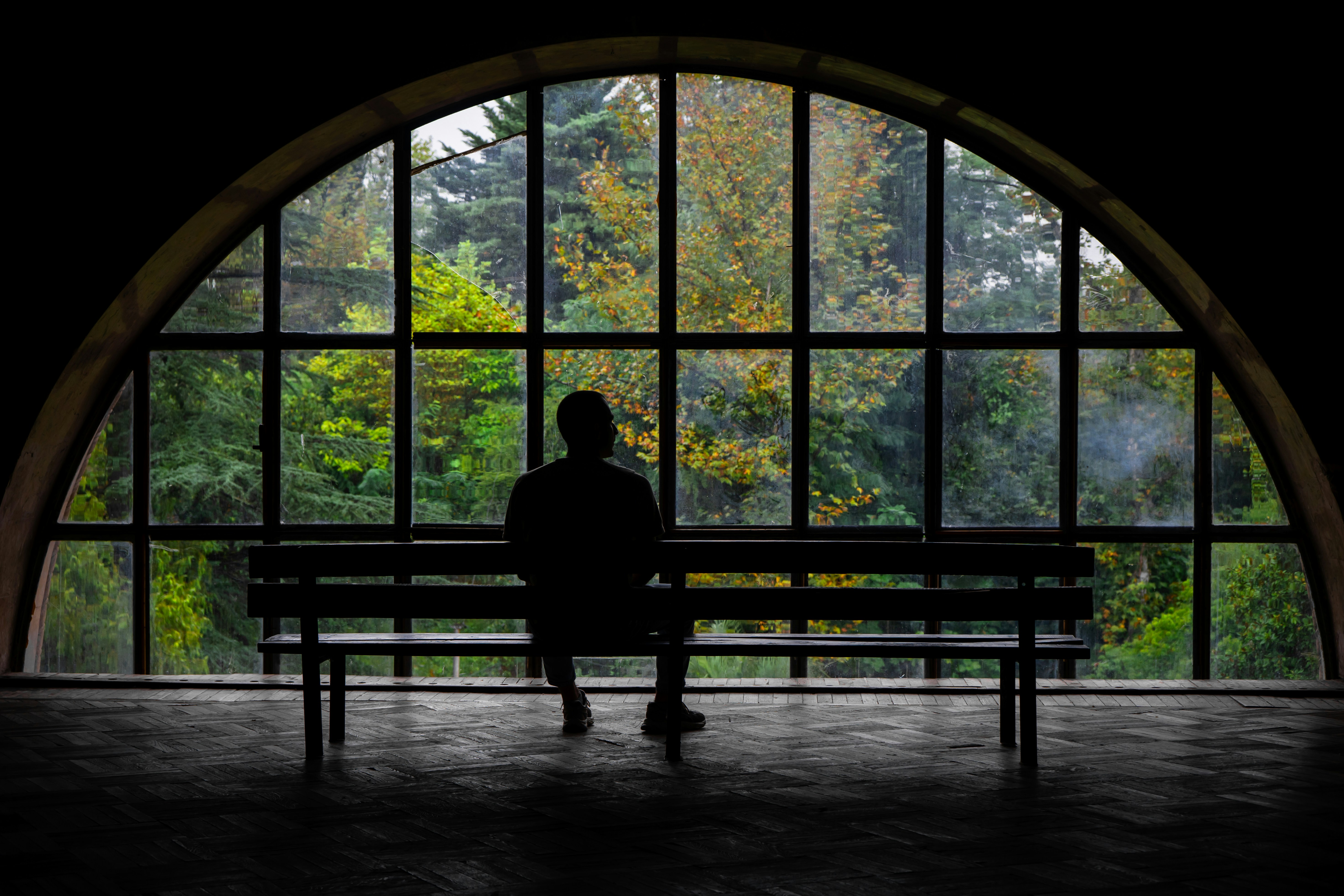 A person viewed from behind, sitting alone in a dark room looking out at autumn trees, a visual metaphor for the introspection found in coping with bereavement.