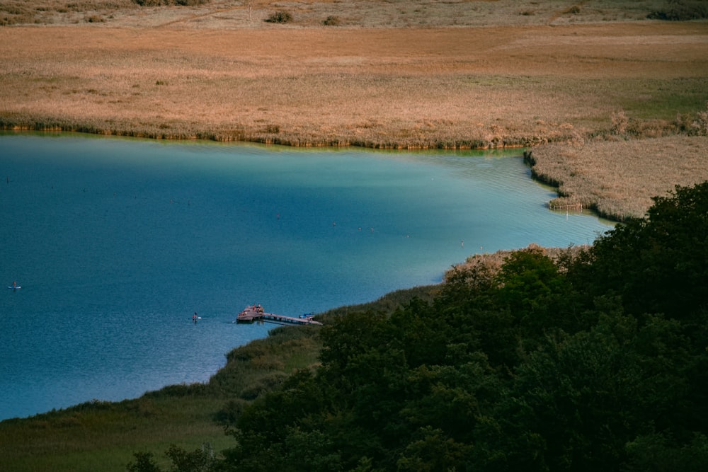 aerial view of green and brown grass field near blue body of water during daytime