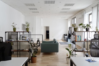 A modern office space featuring a central gray couch, surrounded by open shelving units with plants, books, and decor. The room has light wood flooring, white walls, and large windows allowing natural light. Office chairs and desks are placed throughout, with various office supplies visible.
