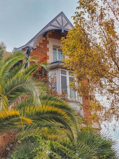 A historic building with ornate woodwork and a steep roof is partially obscured by lush greenery and palm fronds. The structure features large windows and is accented by climbing plants with vibrant foliage.