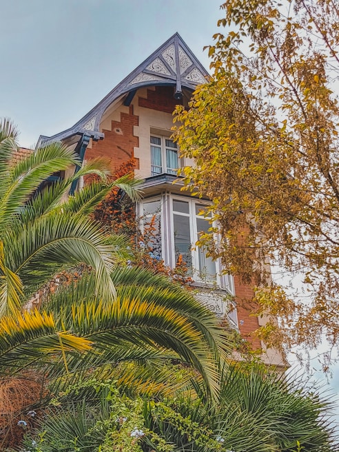 A historic building with ornate woodwork and a steep roof is partially obscured by lush greenery and palm fronds. The structure features large windows and is accented by climbing plants with vibrant foliage.