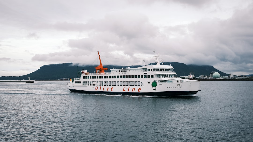 white cruise ship on sea under gray sky