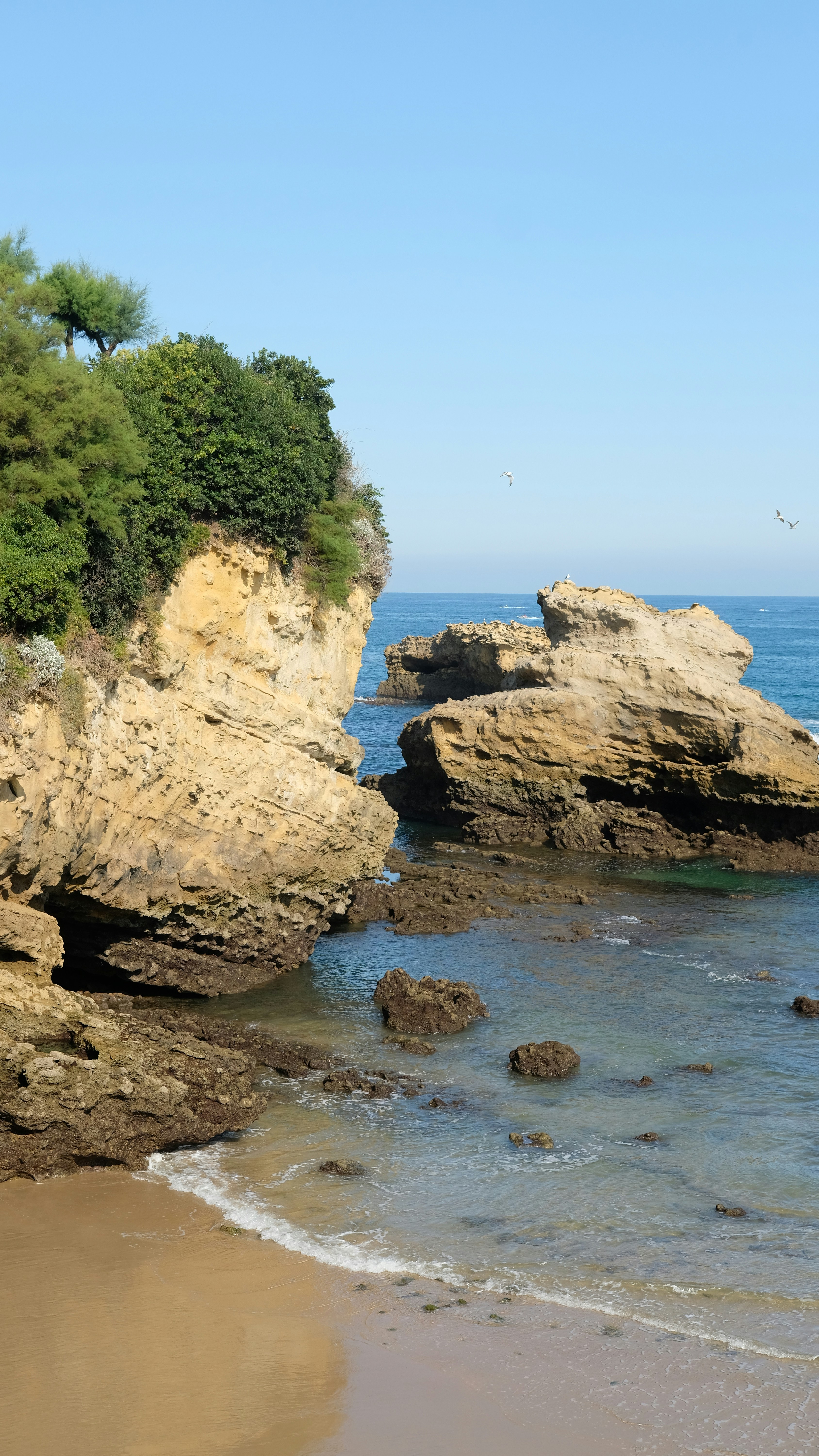 Formación de rocas marrones en el cuerpo de agua durante el día