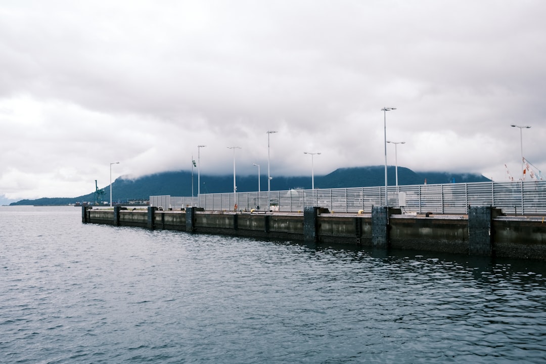 gray concrete dock under white sky during daytime