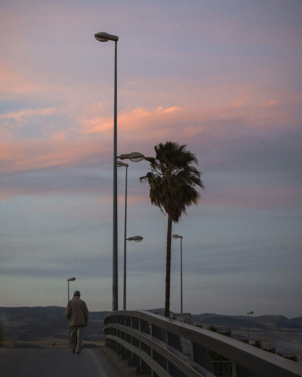 man in white shirt standing near palm tree during daytime