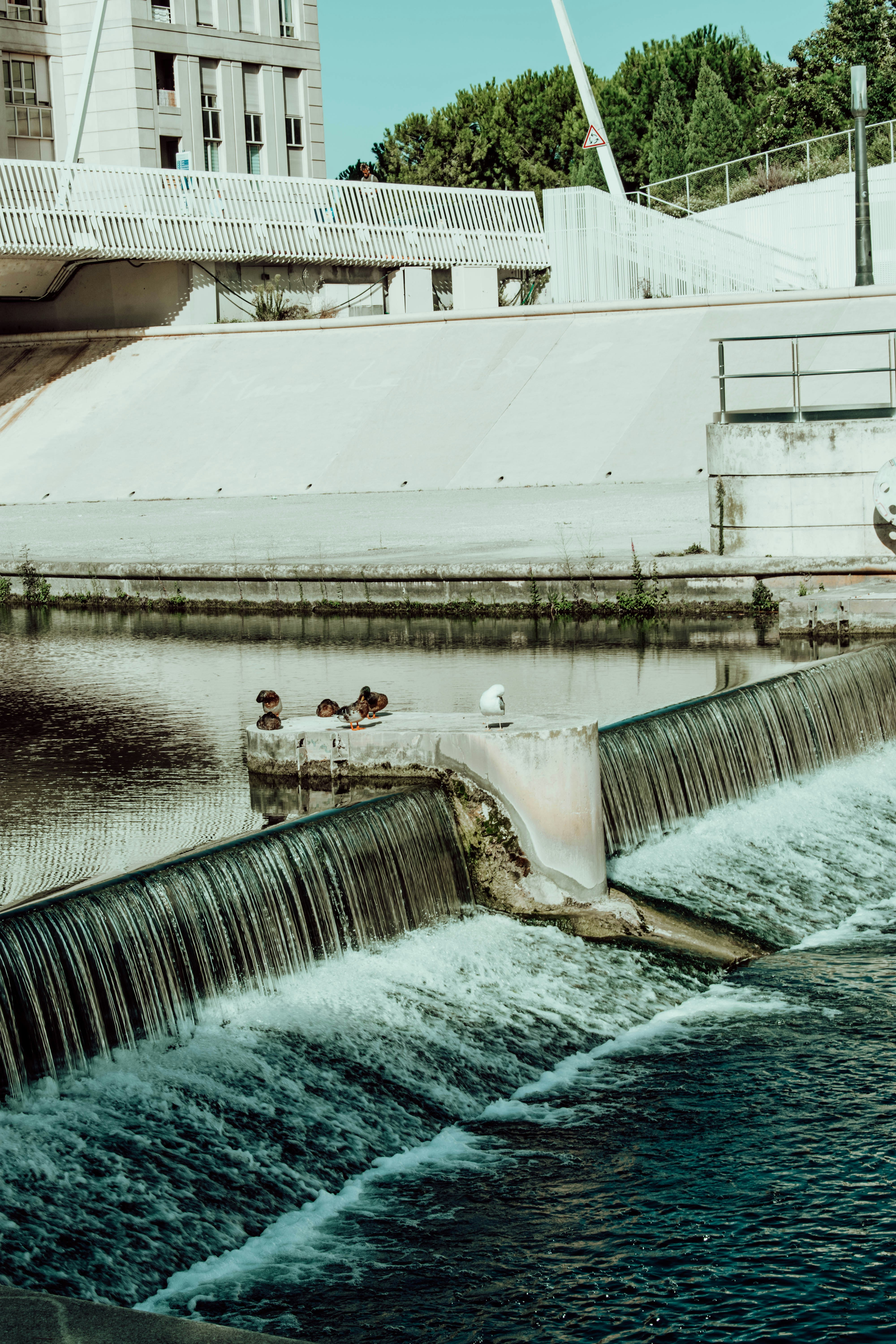 Photo by josefine_mas