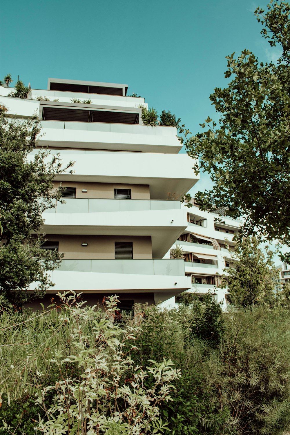 white concrete building near green trees during daytime